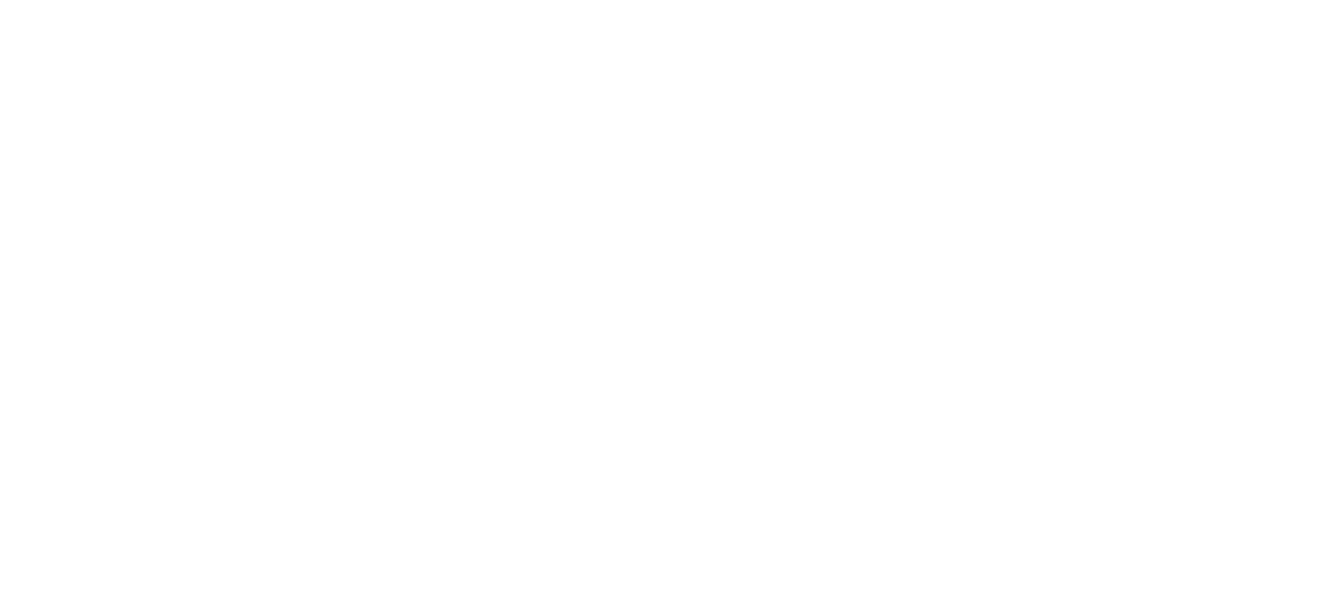 Logo Boutique High Tech Guyane